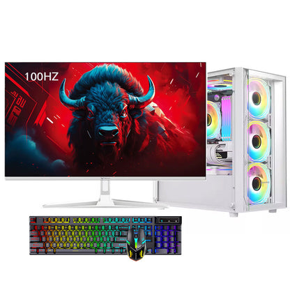 24-inch 100HZ new I5-12400F H610M DDR4 3200 16G M.2 512GB RTX4060 8G high-end sea view room gaming computer